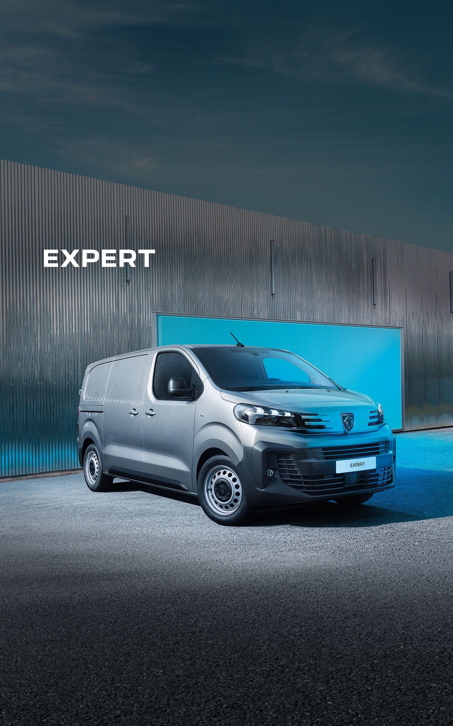 Peugeot Expert Diesel