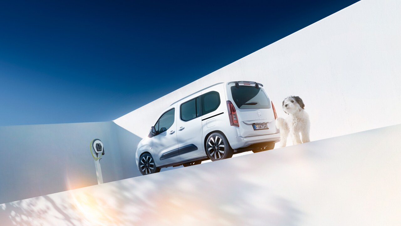 Rückansicht eines weißen Opel Combo Electric und eines Hundes neben einer Wallbox-Ladestation